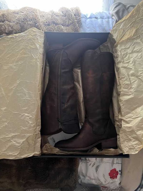 Dark Brown / 7.5 / Nancy_78561