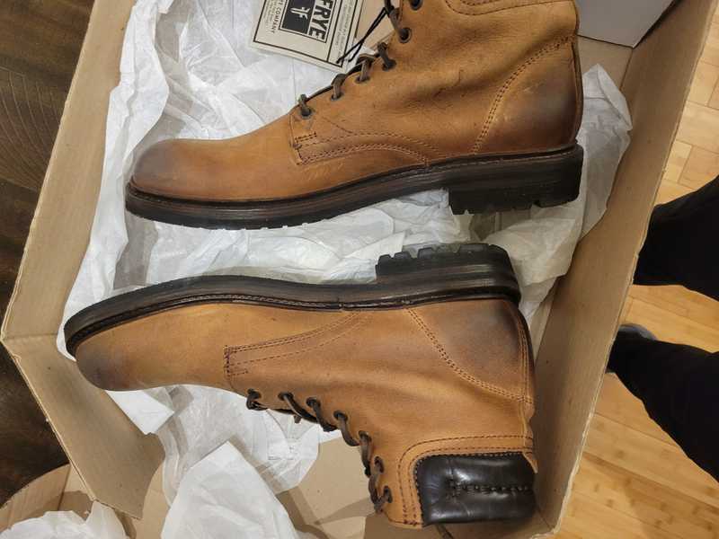 Tan / 11 / Paul_24928