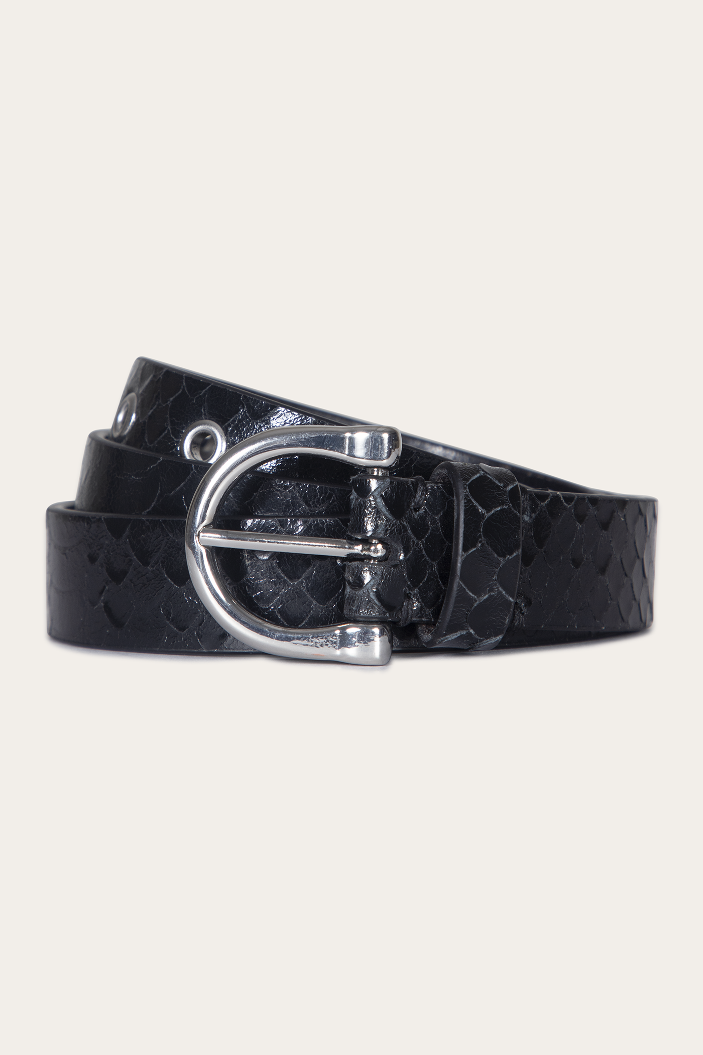 Women’s Black Snake 25mm Horseshoe Buckle Belt With Python | The Frye ...