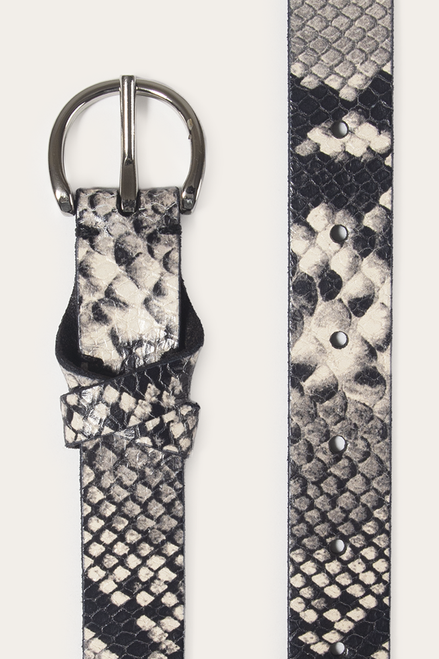 25mm Snake Belt