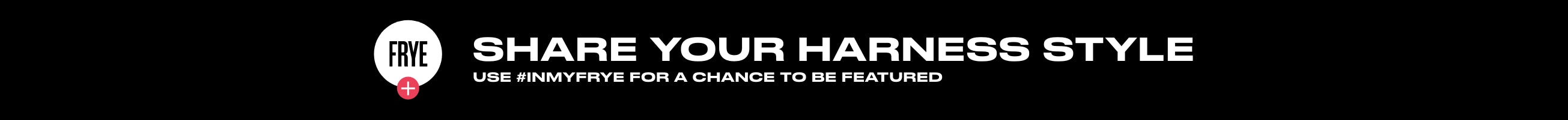 HarnessLP_LP11_Desktop.jpg