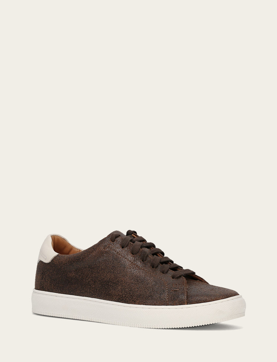 Astor Low Lace - Chocolate - Hero