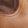 Hauser Logo Stitch