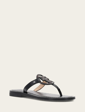Taylor Logo Sandal - Black - Hero