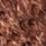 Caramel Swatch