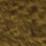 Khaki Swatch