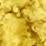 Lime Swatch