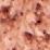 Light Rose Swatch