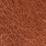 Caramel Swatch