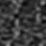 Black Swatch