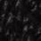 Black Swatch