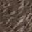 Charcoal Swatch