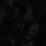 Black Swatch