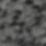 Black Swatch