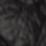 Black Swatch