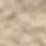 Ivory Swatch