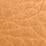 Tan Swatch