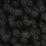 Black Swatch