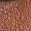 Cognac Swatch