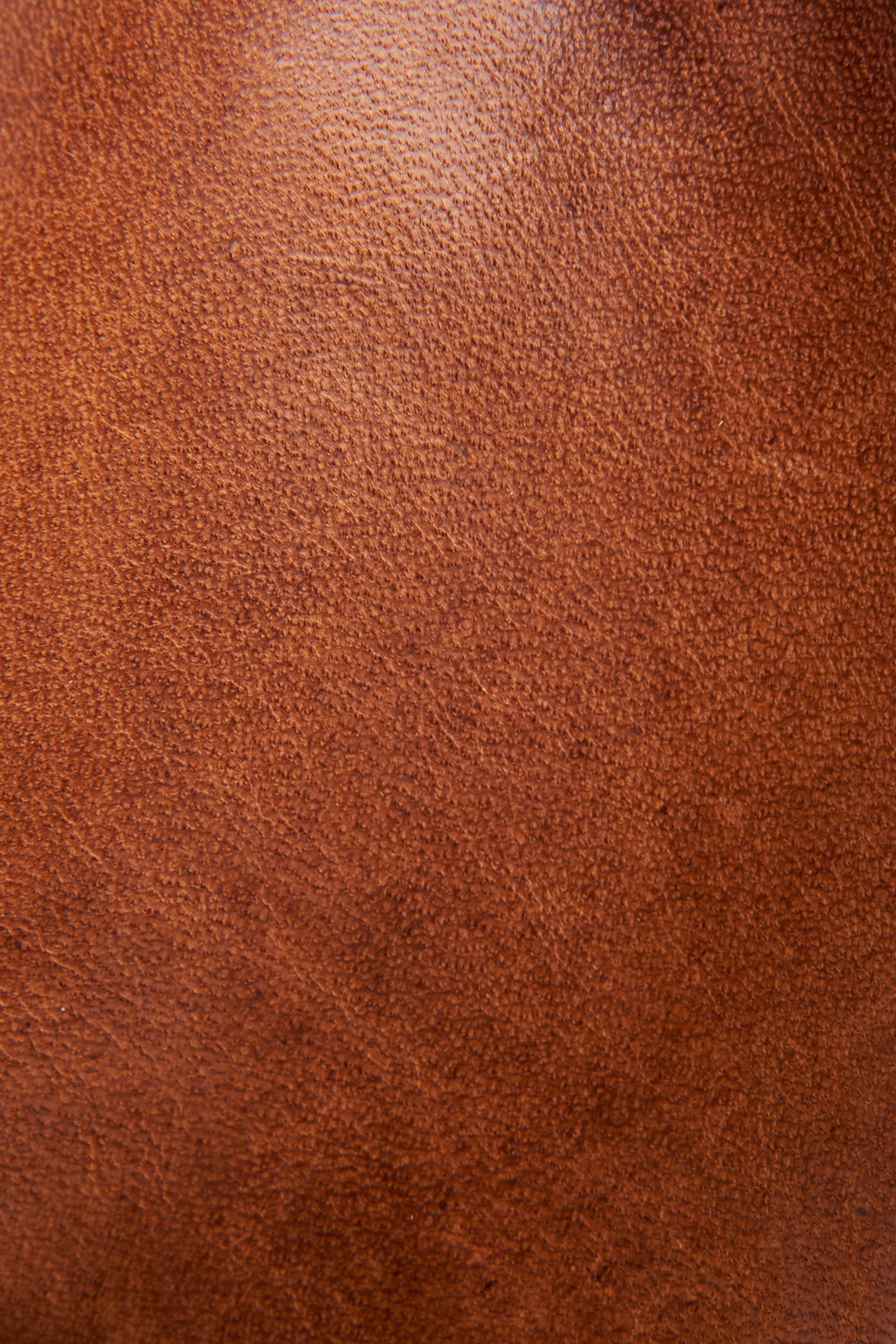 reed horizon bootie