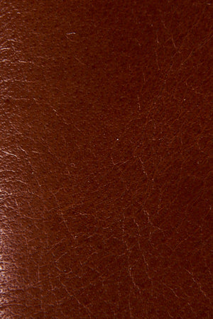 Saddle