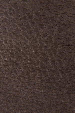 Dark Ash