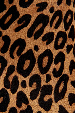 Ocelot