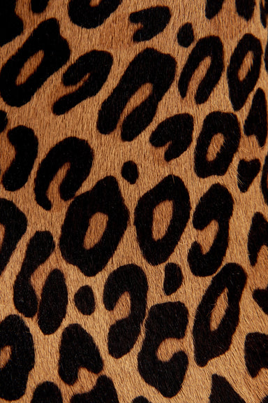 Ocelot
