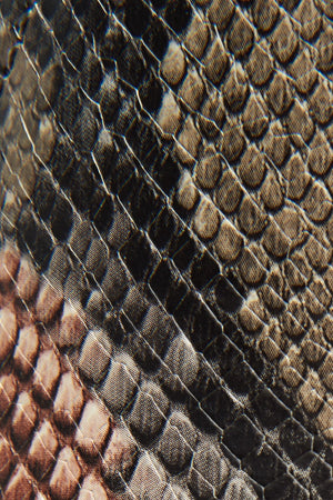 Taupe Snake