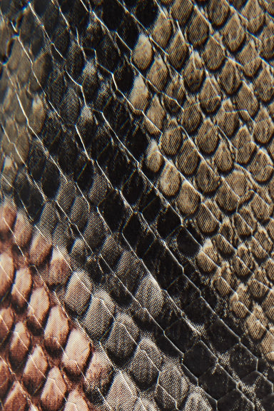 Taupe Snake