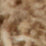 Mushroom Swatch