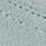 Light Blue Swatch
