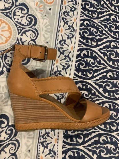 Camel / 9.5 / Leslie_44617